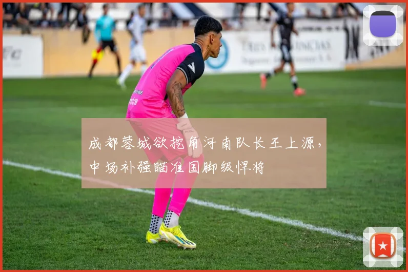 成都蓉城欲挖角河南队长王上源,中场补强瞄准国脚级悍将